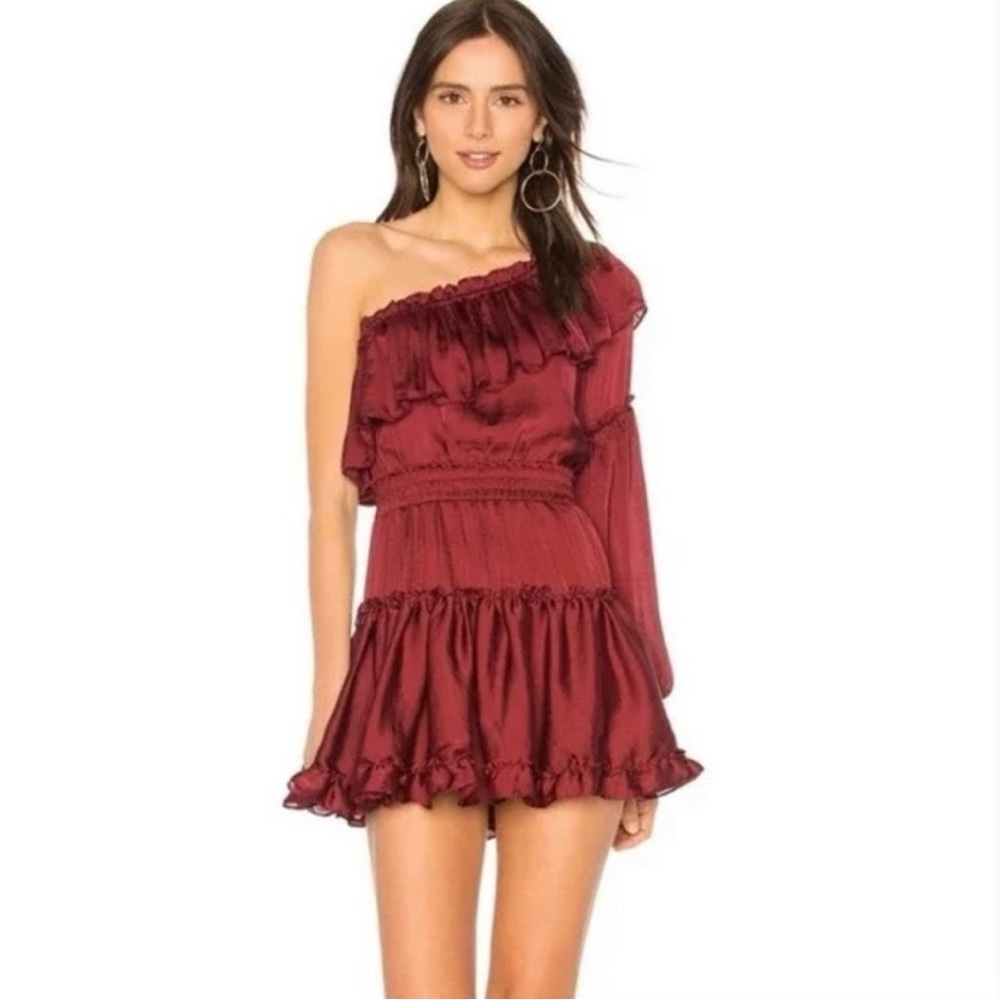 Misa Los Angeles One Sleeve Dress